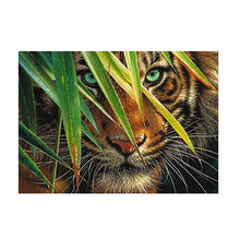 Load image into Gallery viewer, Puzzle Tigre Mysterieux 1000 pcs - Allsport
