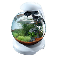 Load image into Gallery viewer, TETRA CASCADE GLOBE AQUARIUM WHITE - Allsport
